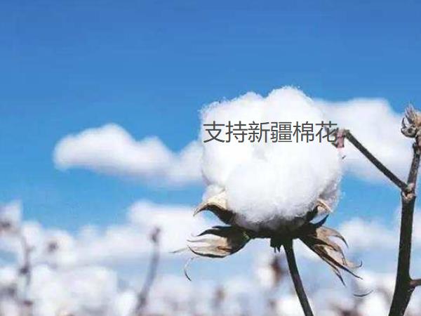 蜜桃视频在线播放阀门