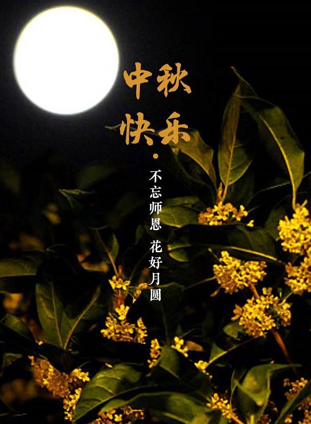 蜜桃视频在线播放阀门